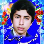 شهید علیرضا عرب لنگه