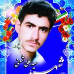 شهید سید علی شعنی